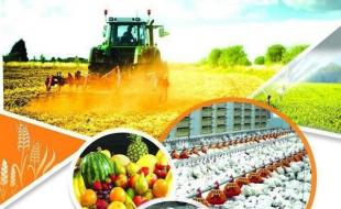۱۳۰۰ هکتار از اراضی کنگاور تحت مدیریت پروژه امنیت غذایی قرار گرفت ۱۳۰۰ هکتار از اراضی کنگاور تحت مدیریت پروژه امنیت غذایی قرار گرفت