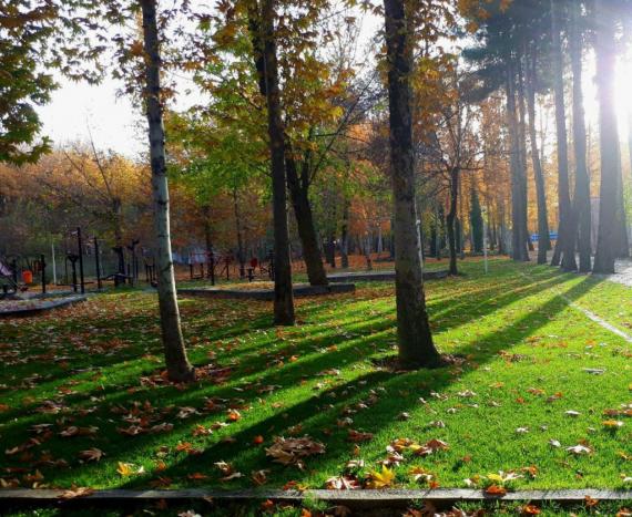 دمای شهر صحنه کاهش می یابد دمای شهر صحنه کاهش می یابد
