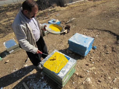 اشتغالزایی جوانان روستایی با طلای خوراکی در اسلام آبادغرب اشتغالزایی جوانان روستایی با طلای خوراکی در اسلام آبادغرب