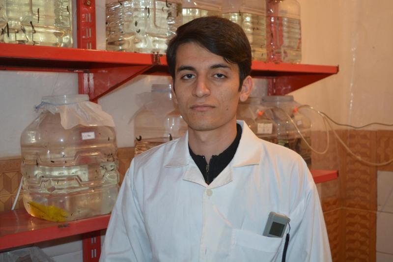 تولید 8 هزار لارو زالو بهداشتی در یک ساعت توسط جوان صحنه ای