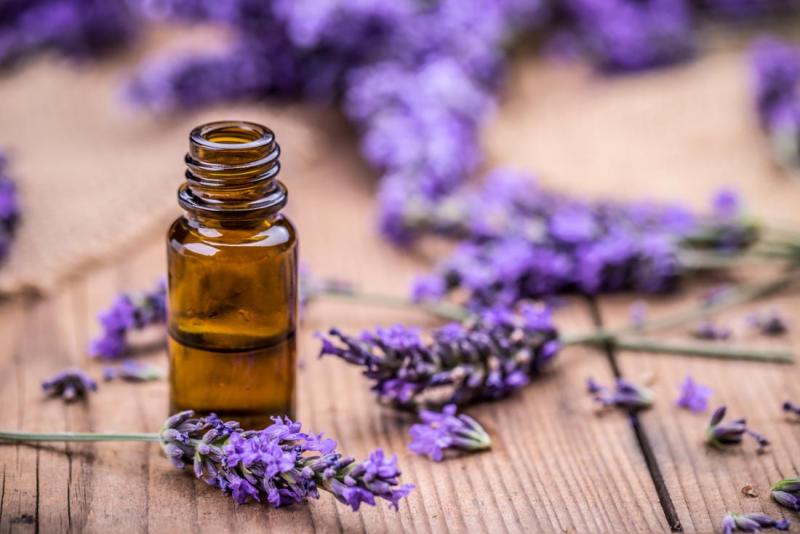  تاثیر روغن اسطوخودوس روی سلامت موها