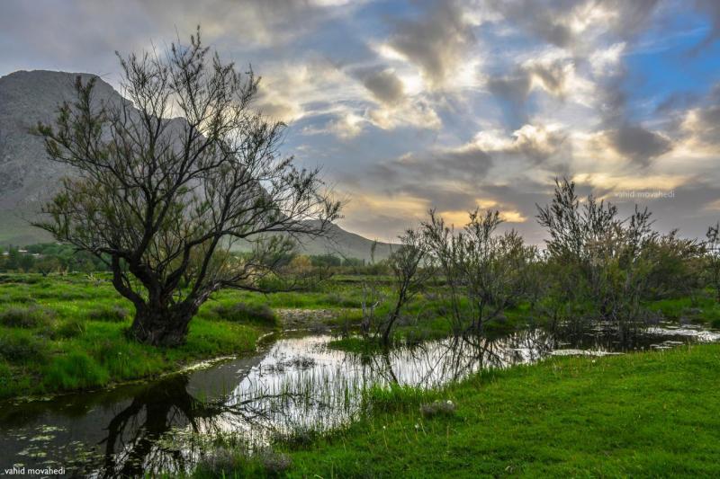 تصاویر بسیار زیبا از مناطق دیدنی شهرستان صحنه 