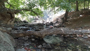 آشنایی با "سراب گروس" آشنایی با "سراب گروس"