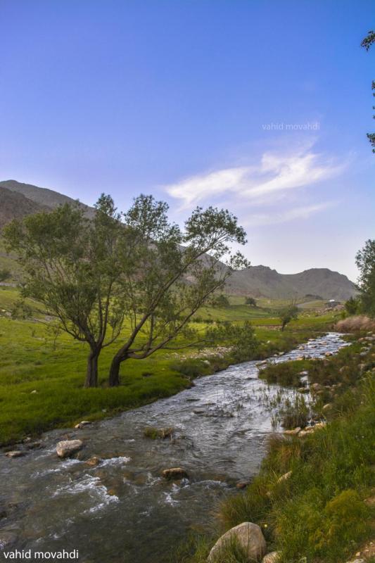 مجموعه تصاویر زیبا از طبیعت و نقاط دیدنی شهرستان صحنه مجموعه تصاویر زیبا از طبیعت و نقاط دیدنی شهرستان صحنه