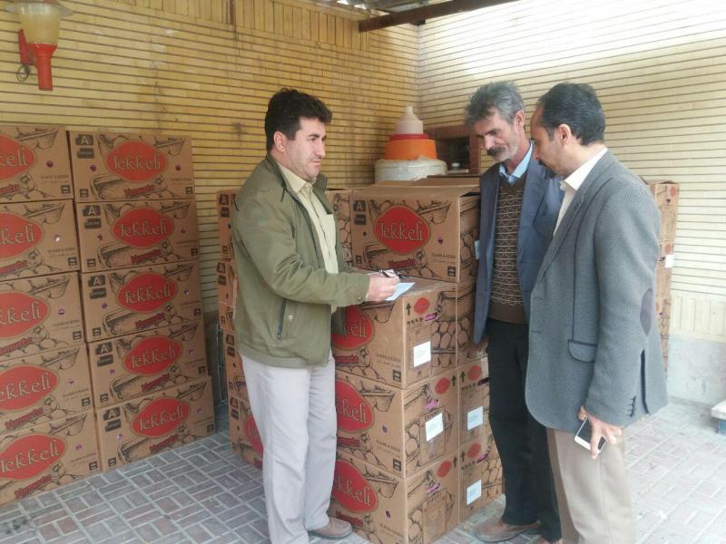   مقدار 34تن برنج سهمیه ای  وارد شهرستان صحنه گردیده است + تصویر