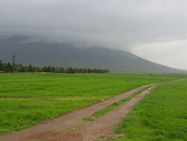 تصاویر زیبای بهاری از طبیعت شهرستان صحنه