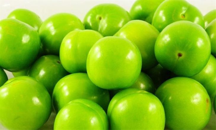 در جشن برداشت آلوچه؛ به دیدار «پریان» بروید