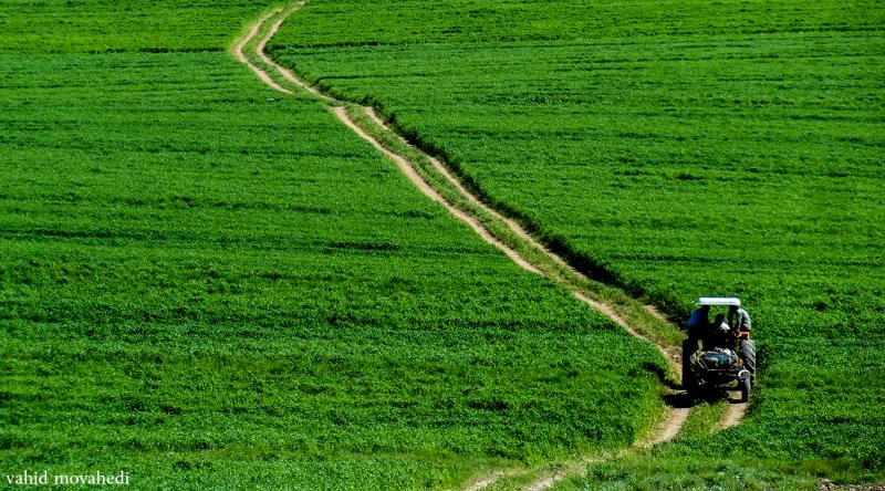 روستای چمه یادگاری از شهر تاریخی دینور روستای چمه یادگاری از شهر تاریخی دینور