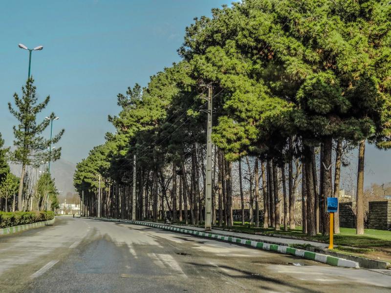 دمای هوای شهرستان صحنه افزایش پیدا می کند