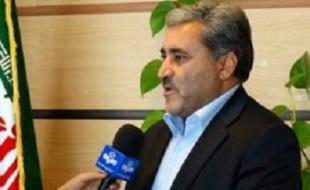 خسارت ۶۰ درصدی به مزارع دیمی مناطق گرمسیری/ افزایش کشت گلخانه‌ای 