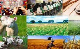 دلسردی کرمانشاهی‌ها از تسهیلات اشتغال روستایی با حذف ۶۲۰ طرح! 