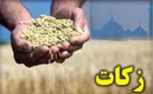 کشاورزان کرمانشاهی ۷ میلیارد تومان زکات پرداخت کردند کشاورزان کرمانشاهی ۷ میلیارد تومان زکات پرداخت کردند