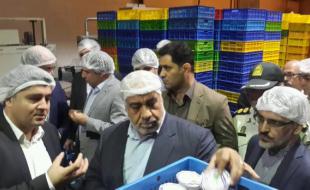 بازدید مدیر ارشد کرمانشاه از کارخانههای تولیدی بازدید مدیر ارشد کرمانشاه از کارخانههای تولیدی