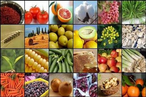 بزنگاه اصلاح نگاه دولتمردان/حمایت از خودکفایی به جایی تهدید تولید بزنگاه اصلاح نگاه دولتمردان/حمایت از خودکفایی به جایی تهدید تولید