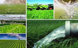 رتبه چهارم کرمانشاه در سهمیه تسهیلات اشتغالزایی روستاییان رتبه چهارم کرمانشاه در سهمیه تسهیلات اشتغالزایی روستاییان