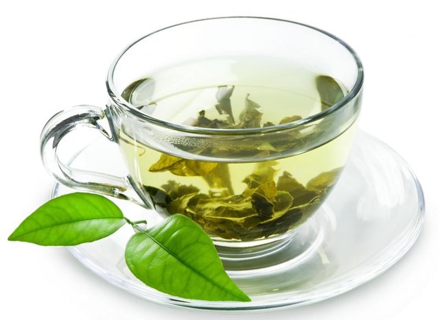 آیا چای سبز باعث لاغری میشود؟ آیا چای سبز باعث لاغری میشود؟
