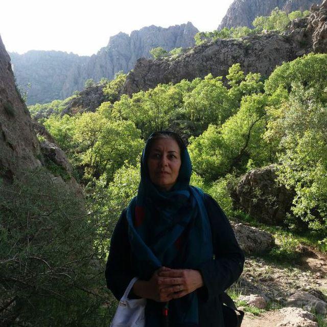  ادبیات داستانی که می‌خواهد دیده شود 