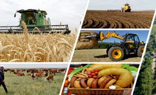  ۹۵ درصد روستاهای کرمانشاه تحت پوشش خدمات تعاون روستایی است 