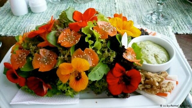 گلهای خوراکی و خواص آنها گلهای خوراکی و خواص آنها