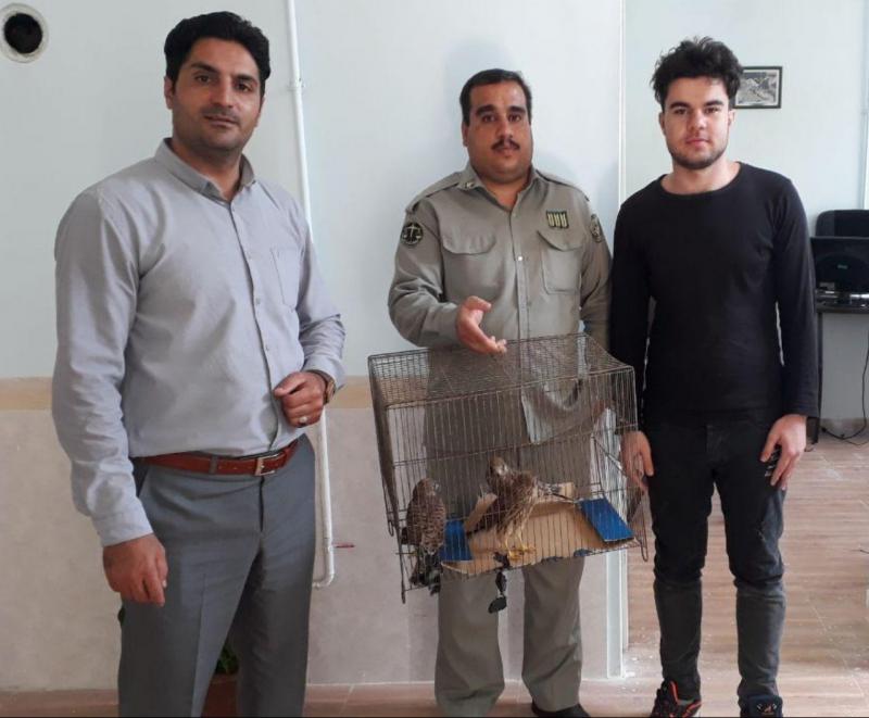 سه  قطعه جوجه دلیجه به اداره محیط زیست صحنه تحویل داده شد