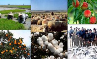  پرداخت ۲۹۷ میلیارد تومان تسهیلات اشتغالزایی روستایی 
