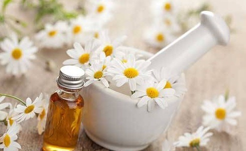 آیا دمنوش بابونه خوابآور است؟ آیا دمنوش بابونه خوابآور است؟
