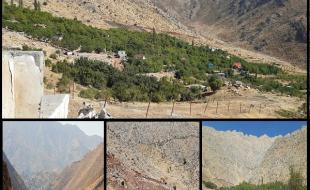 «بیدمیری» در قبضه متجاوزان طبیعت /زمین‌خواری بدون مزاحم 