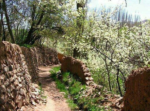 آغاز رسمی کوچ پاییزه عشایر کرمانشاه از ۳۰ آبان 