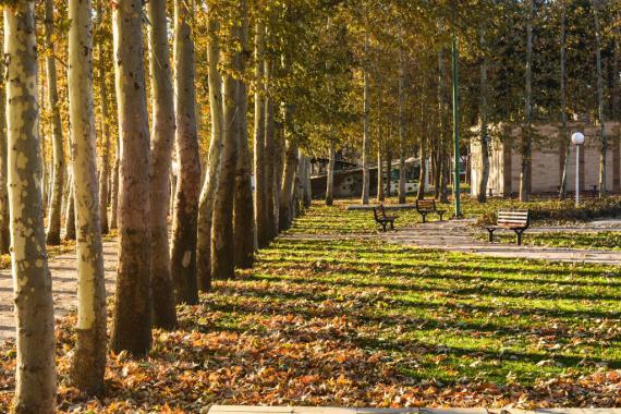 	طبیعت زیبایی شهرستان صحنه 