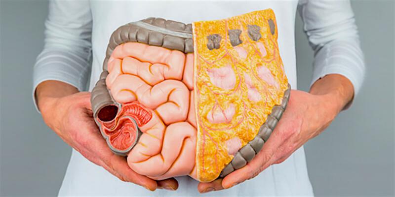 این ده خوراکی یبوست را حادتر می‌کنند