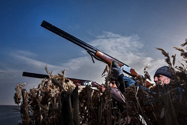 تروریسم محیط‌زیستی در میانکاله/جنایت ادعایی در توان شکارچیان نیست