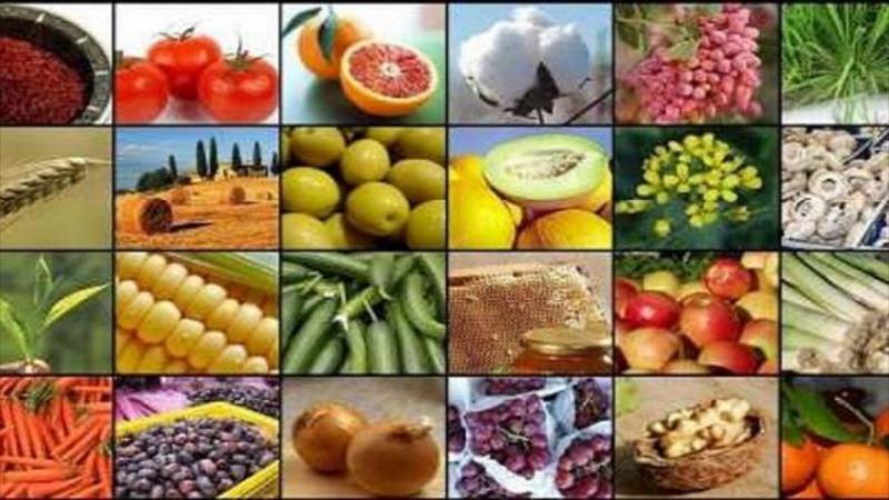 اتحادیه شرکت‌های تعاونی روستایی شهرستان صحنه وارد فاز صادرات شدند