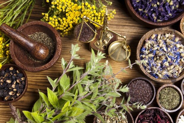 طب سنتی مورد تمسخر قرار گرفته و ما کوتاه نمی آییم 
