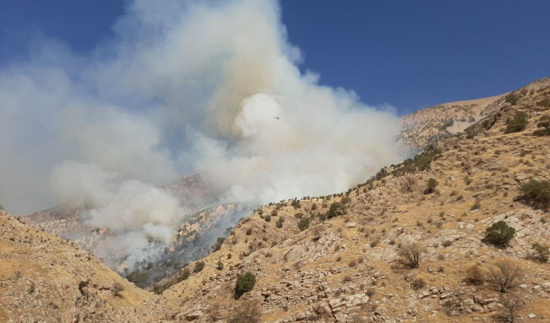  حدود ۱۰ هکتار از مراتع ارتفاعات شهرستان ثلاث باباجانی در آتش سوخت / حضور نیروهای مردمی بسیج و سپاه در مهار آتش