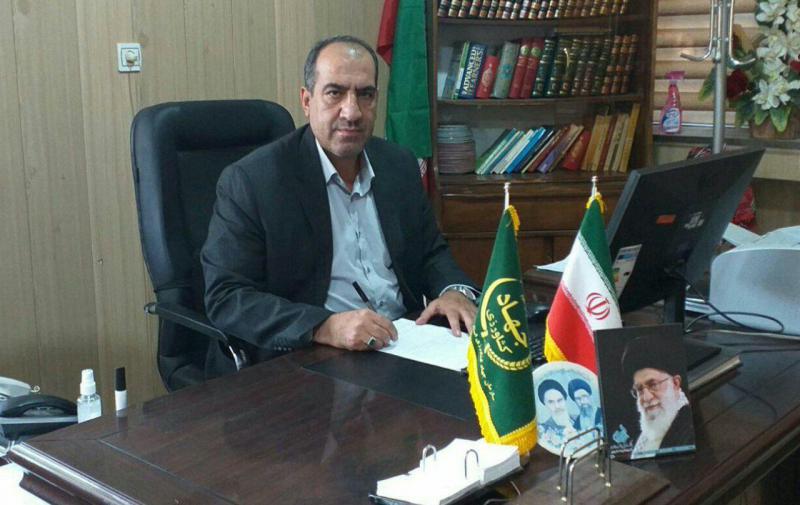 پیش بینی برداشت 12 تن هزار سیب از باغات شهرستان صحنه 