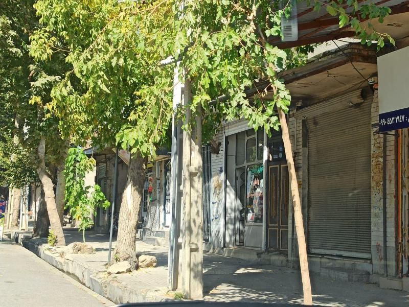 رعایت پروتکل های بهداشتی به خوبی در شهر صحنه در حال انجام است