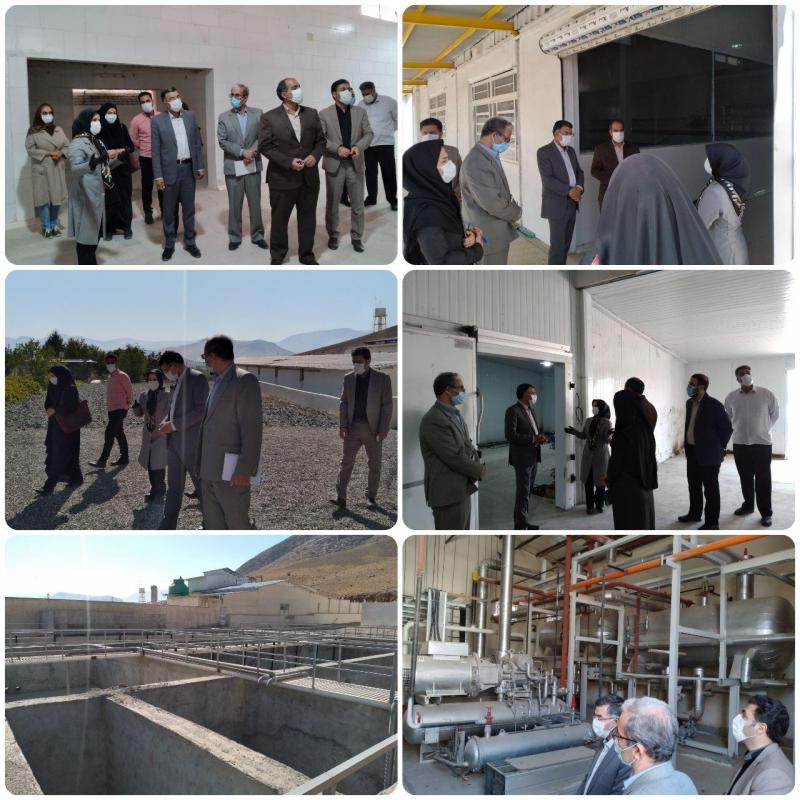 اشتغال مستقیم و غیر مستقیم ۱۵۰ نفر با راه اندازی کشتارگاه صنعتی طیور درشهرستان صحنه