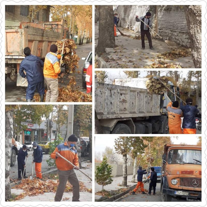 جمع‌آوری برگ‌های پاییزی از سطح شهر صحنه + عکس