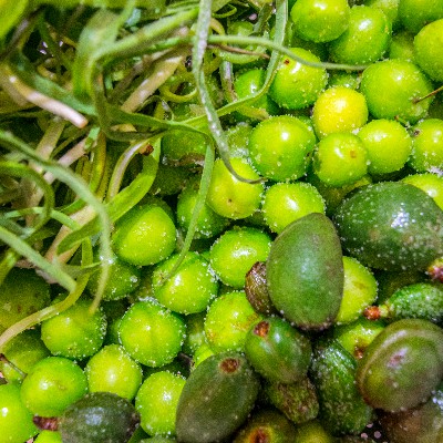 خوردنی های محبوب فصل بهار