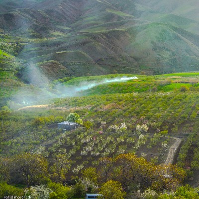 بهار در بخش دینور