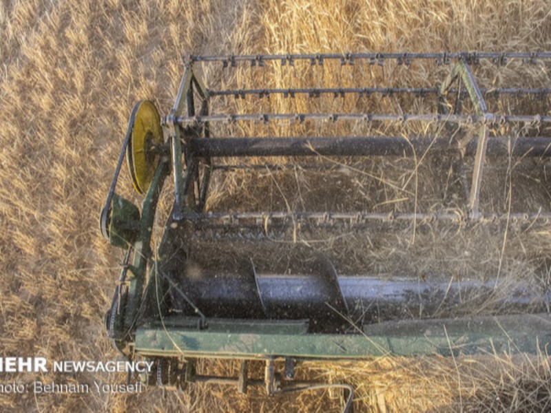 جهادباتشکل‌ها درباره نرخ گندم توافق کرد/خاوازی بدنبال تائیدروحانی