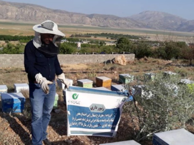 بازگشت ۶۲۵۰ خانواده به روستا با کمک بنیاد«برکت» بازگشت ۶۲۵۰ خانواده به روستا با کمک بنیاد«برکت»
