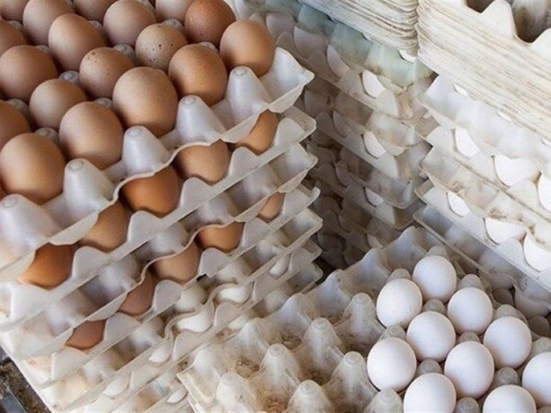 چرا تخم مرغها کوچک شدهاند؟ چرا تخم مرغها کوچک شدهاند؟