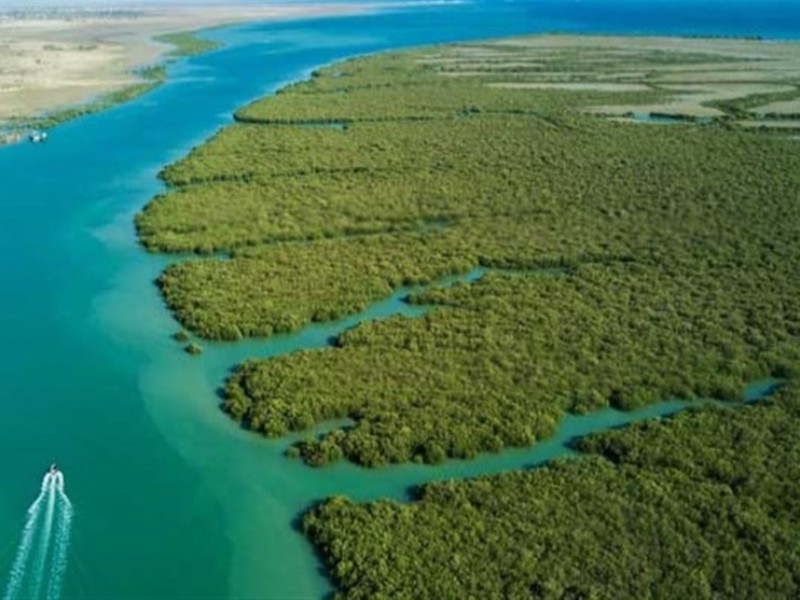 اهمیت کلان داده ها در حفاظت از محیط زیست و جنگل ها چیست؟ اهمیت کلان داده ها در حفاظت از محیط زیست و جنگل ها چیست؟