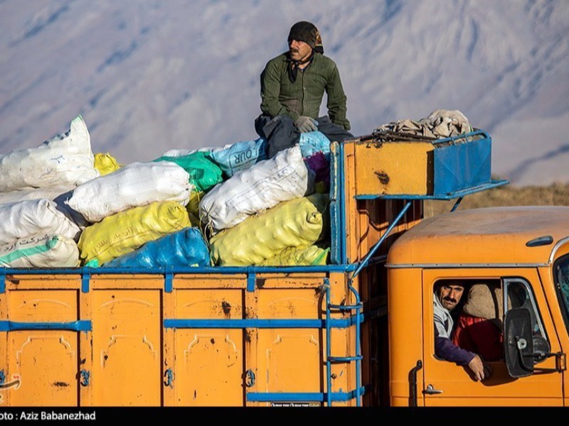 صادرات سیب زمینی متوقف شد صادرات سیب زمینی متوقف شد
