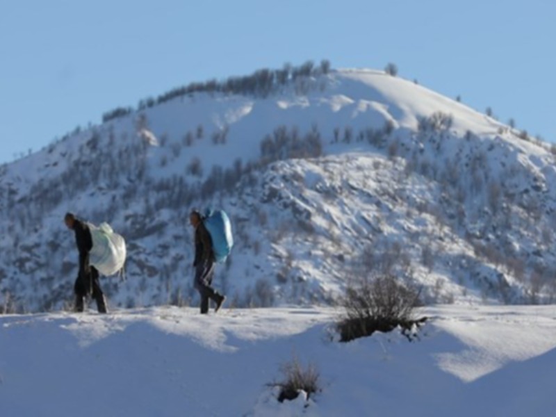کولبر کردستان توسط بنیاد برکت مشغول به کار شدند کولبر کردستان توسط بنیاد برکت مشغول به کار شدند