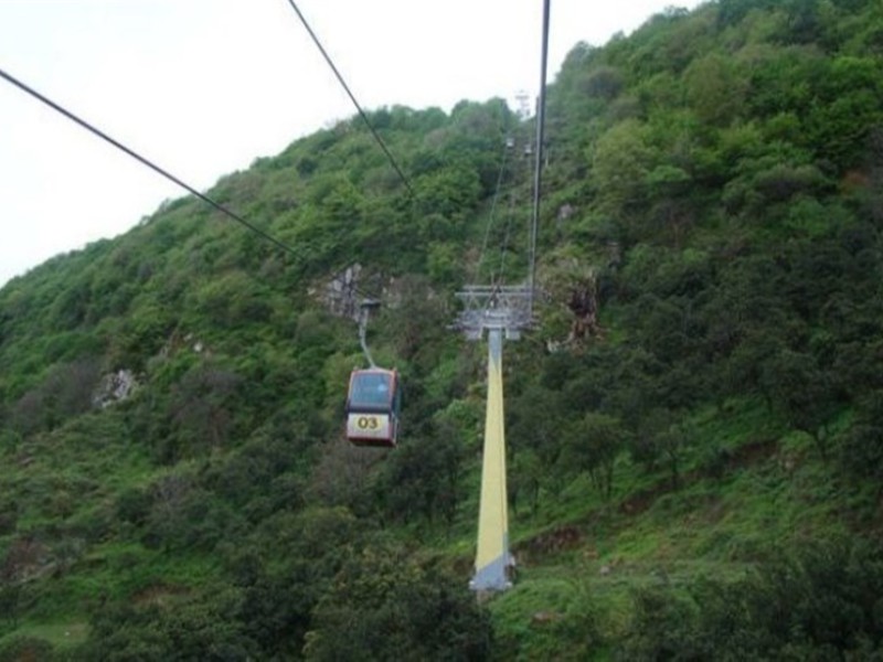 سودجویی یا گردشگری؛ هدف از احداث تلهکابین در جنگلهای هیرکانی چیست؟ سودجویی یا گردشگری؛ هدف از احداث تلهکابین در جنگلهای هیرکانی چیست؟