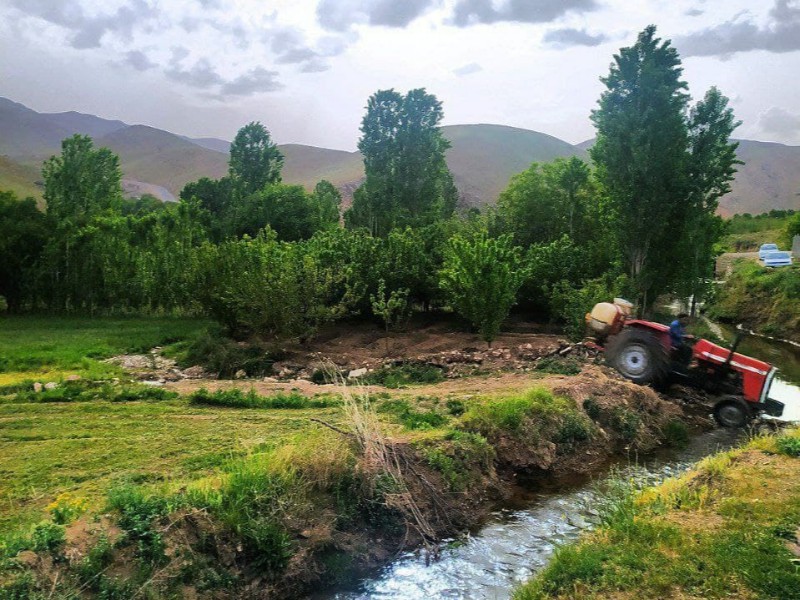 گزارش تصویری از طبیعت بهاری کنگاور