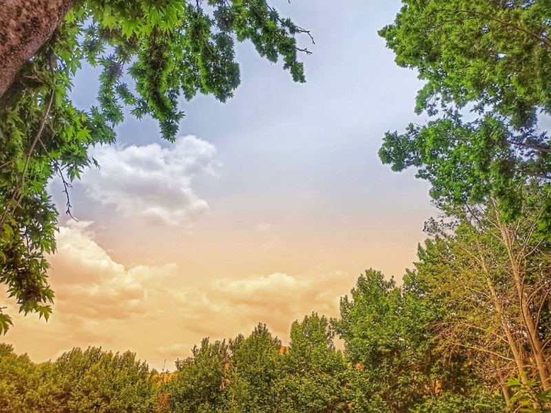 غروب زیبای صحنه