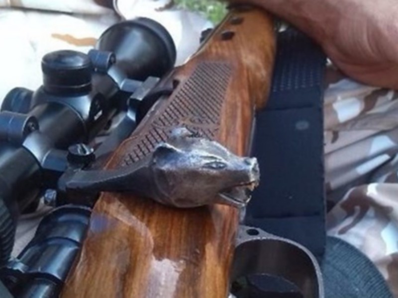 پرونده متخلفان محیط زیست در شعب دادسرای صحنه به صورت ویژه پیگیری خواهد شد